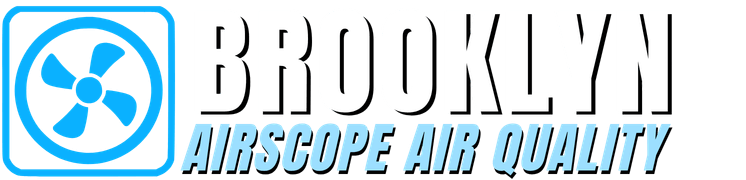 Brooklyn AirScope Air Quality
